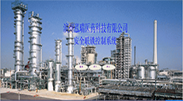 山東泓瑞醫（yī）藥科（kē）技股份公司